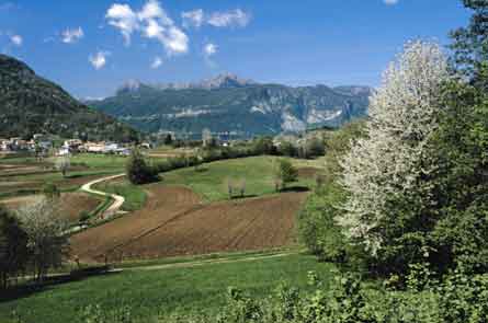 Il facino delle colline in fiore  tra Muris, Cimano e Susans