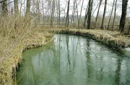 Antica roggia di S. Odorico, scavata dai benedettini oltre 700 anni fa