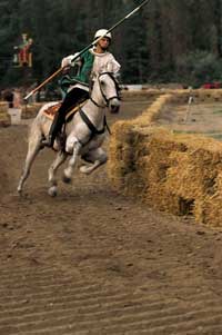 Un cavaliere al galoppo del proprio cavallo, dà prova della sua abilità durante la gara.