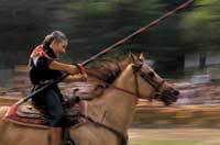 Un cavaliere al galoppo del proprio cavallo, dà prova della sua abilità durante la gara.